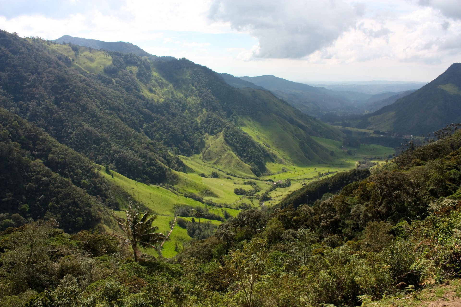 Landscape of Cocora valley